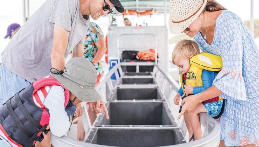 Crociera di un giorno alla scoperta della fauna marina di Tangalooma Island - Foto 3