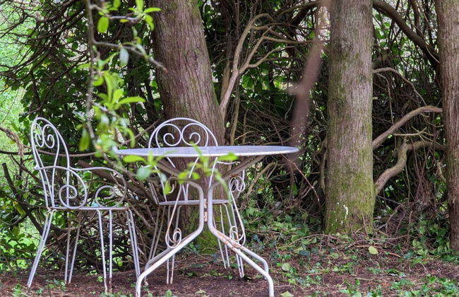 BONFARTO LOCATIONS - Foto 38