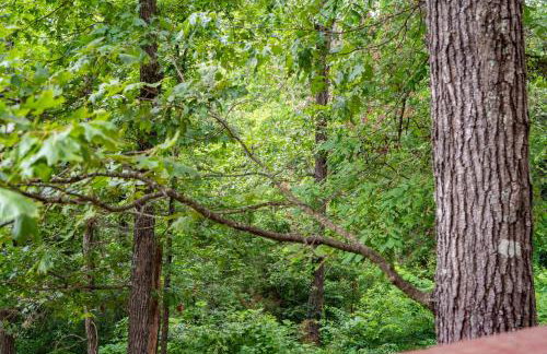 Three Bear Lodge - Foto 37