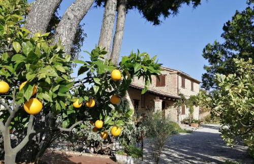 Casale San Martino Agriturismo Bio - Foto 28