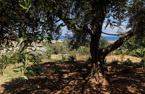 Terrazze sul Tirreno - Foto 13