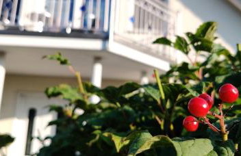 Ferienwohnung am Hollergraben - Foto 15