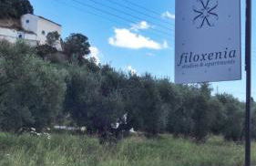 Filoxenia Luxury Studios & Apartments - Foto 34