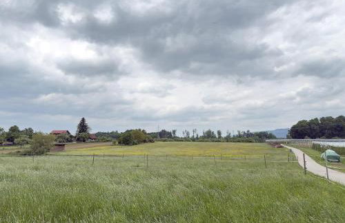 Biohof Stotz - Foto 23