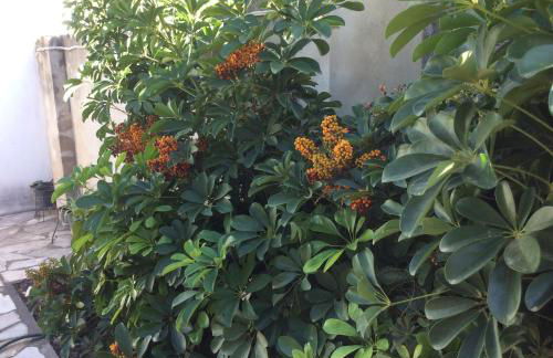 Ca Bienvenida - Foto 11