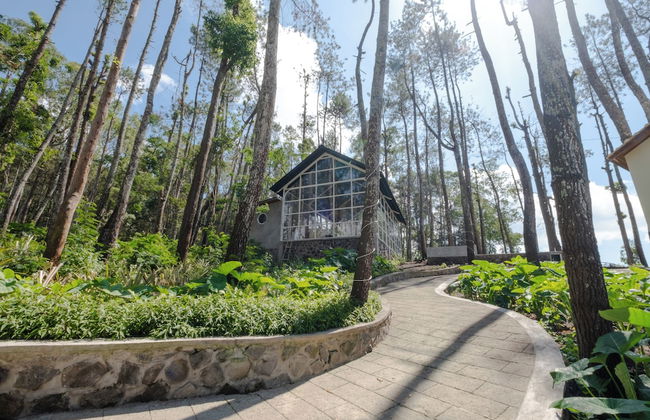 La Pino Mount Batur and Hot Spring - Foto 24