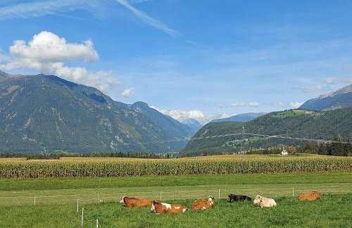 Krebslechnerhof - Foto 34