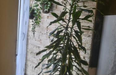 casa Hanna2 - Foto 35