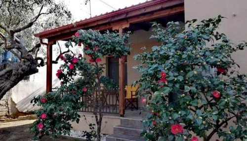 John and Tania's Garden - Foto 4