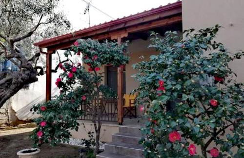 John and Tania's Garden - Photo 4