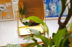 Alastrean Flat - Photo 36