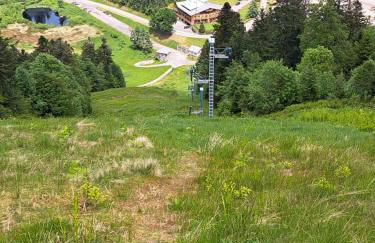 Chalet Le Belvédère, vue exceptionnelle dans les Hautes Vosges - Foto 45
