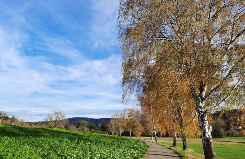 Ferienwohnung Odenwaldflair - Photo 6