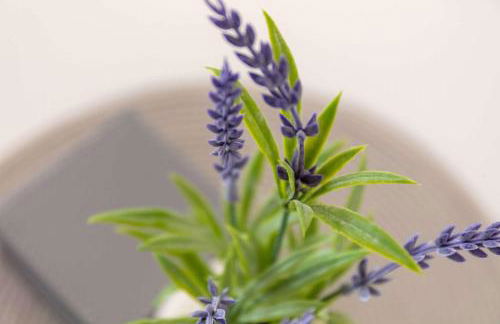 Albyn Retreat - Donnini Apartments - Foto 22