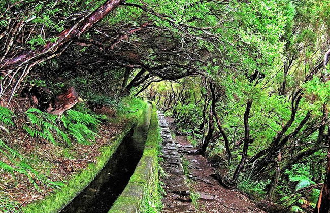 Madeira Lagos e Fontes Rabacal - Foto 13