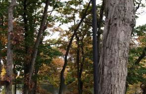 Well appointed Lakefront home - Foto 9