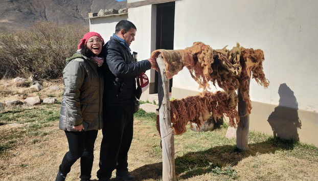 Learning how to dry the fabrics