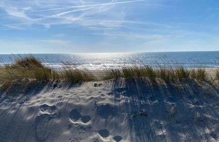 ALOJAMENTO SAUDADE - Foto 50