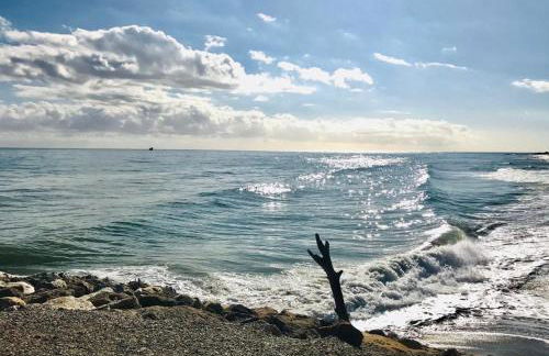 BOHO HOUSE MALAGA - Photo 21