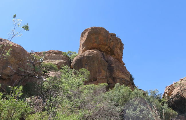 Imla Guest Farm - Foto 68