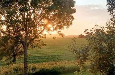 Grønhus am Meer, Apt 2 - Foto 6