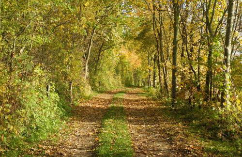 Ferienhaus am See mit Ruderboot - Photo 50
