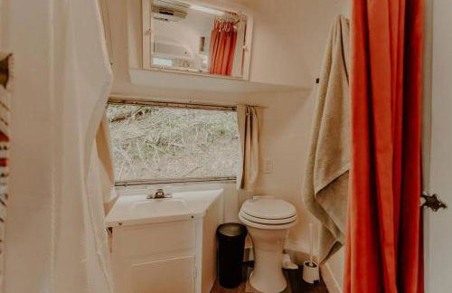 Streamside ShinyTiny Airstream in the Smokies - Foto 18