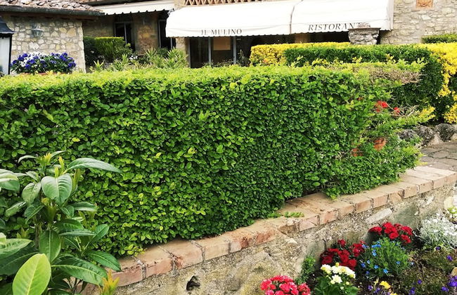 Mulino di Quercegrossa - Photo 77