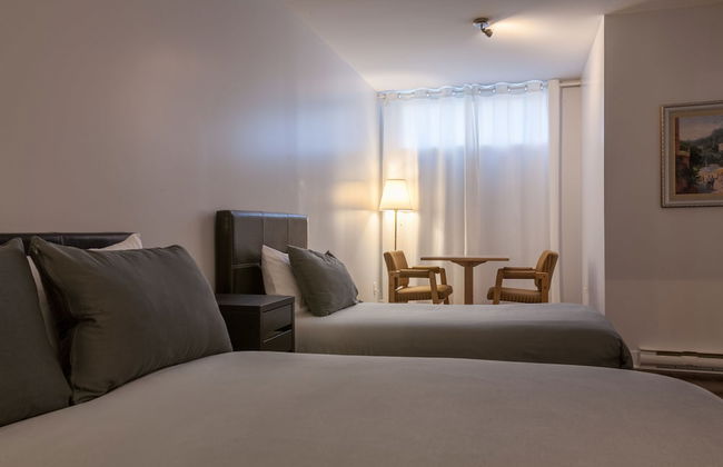 LMVR - The Bull - Foto 12