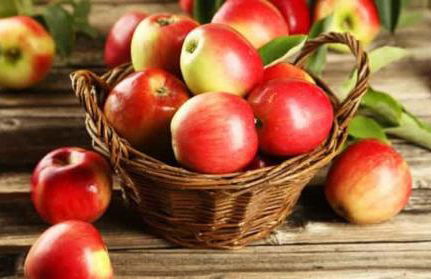 Haus Maria - Foto 24