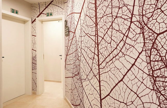 Appart Hotel Georges Henri - Photo 2