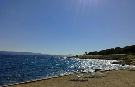 Studio Apartment Nature - Photo 15