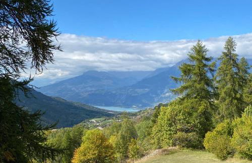 Maison de montagne Alpes du sud/station Les Orres - Photo 31