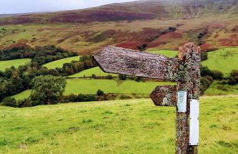 Little Kestrel Cabin - Photo 44