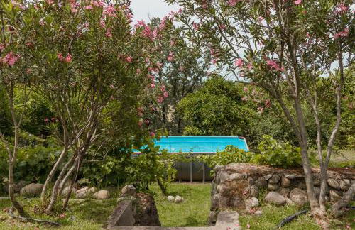 Casa Rural en Candeleda con piscina y un maravilloso jardín - Foto 65