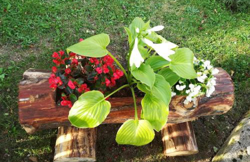 Apartment Arya - Foto 13