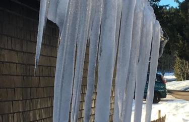 GreenHolidays - Foto 47