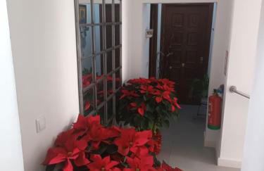 Suites Casa San Mateo - Foto 17