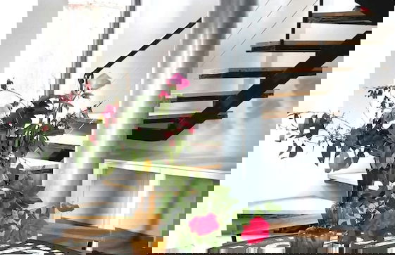 The Z Point - Foto 4