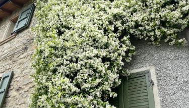 Alloggio con camino nel borgo del castello - Foto 2