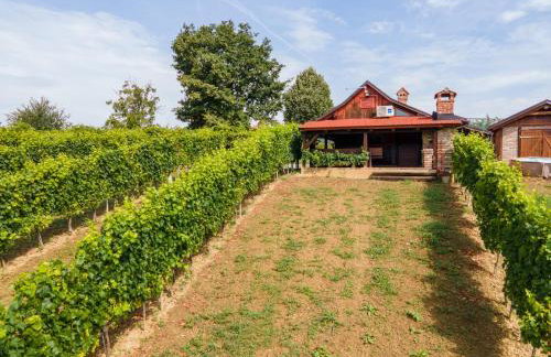 VAL HILLS Rural Holiday House - Foto 6