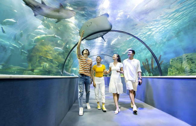 SOL- Vinhomes Times City & Park Hill - Foto 17