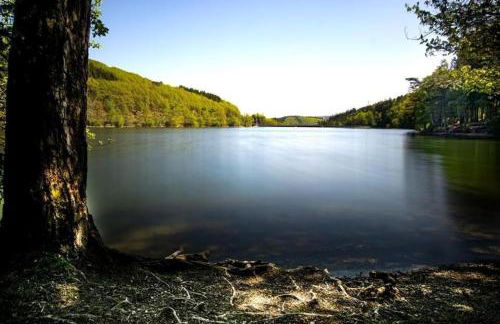 Fewo Meschede Eversberg Radring - Foto 15