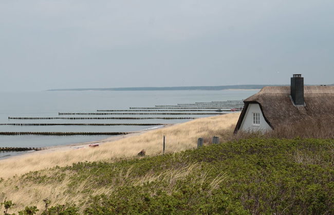 Ferienwohnung in Gross Kordshagen mit Garten - Photo 19