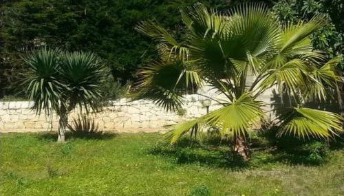 Apartment VanessaHolidayHome Erster Stock in Cava d'Aliga by Interhome - Foto 4