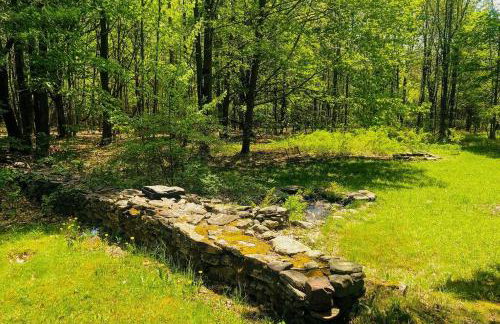Catskills Enchanted Forest - Foto 23