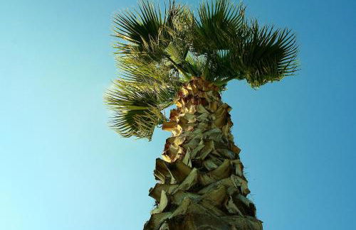 Agriturismo La Crianza - Foto 22