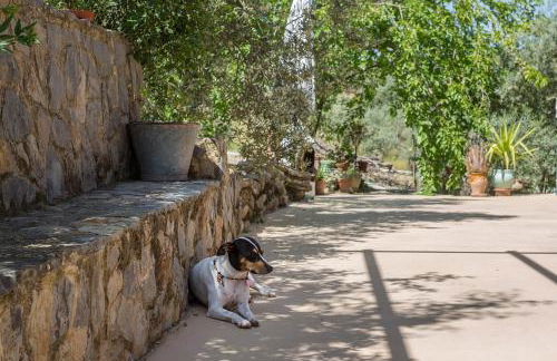 Vivienda rural del salado - Foto 73