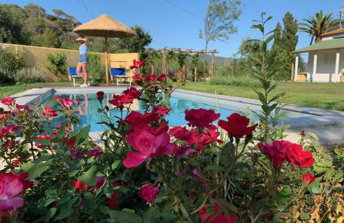 Villetta La Cellula - Foto 42