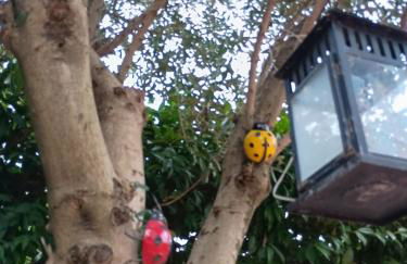 Fienile Paradiso Home Tuscany - Foto 36